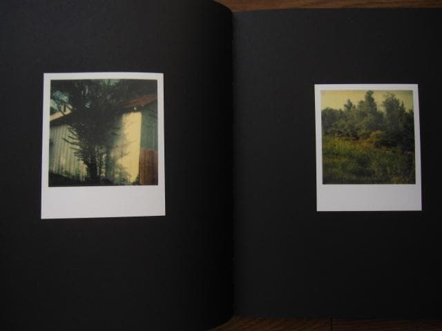 アート・デザイン・音楽 William Eggleston Polaroid SX-70