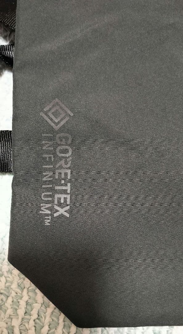 BURTON GORE-TEX Infinium Vest Pack ベスト
