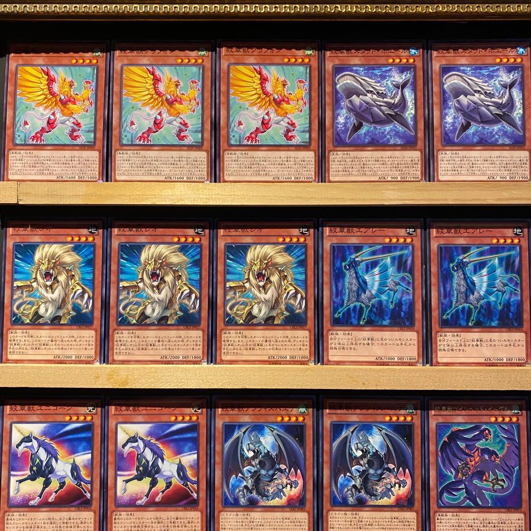 即日発送！紋章獣デッキ　コードオブアームズ　プレインコート　高等紋章術　レオ