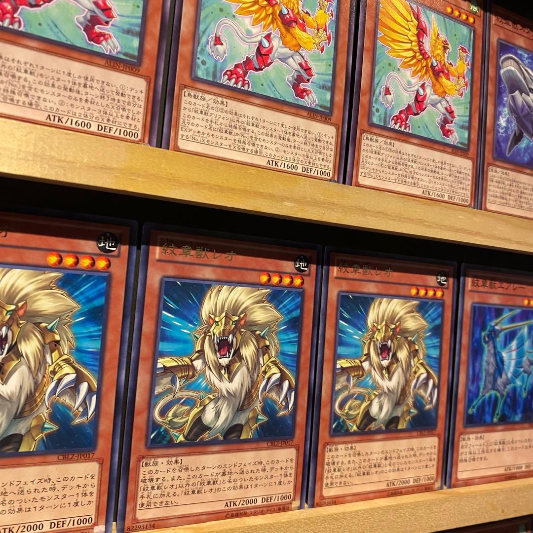 即日発送！紋章獣デッキ　コードオブアームズ　プレインコート　高等紋章術　レオ
