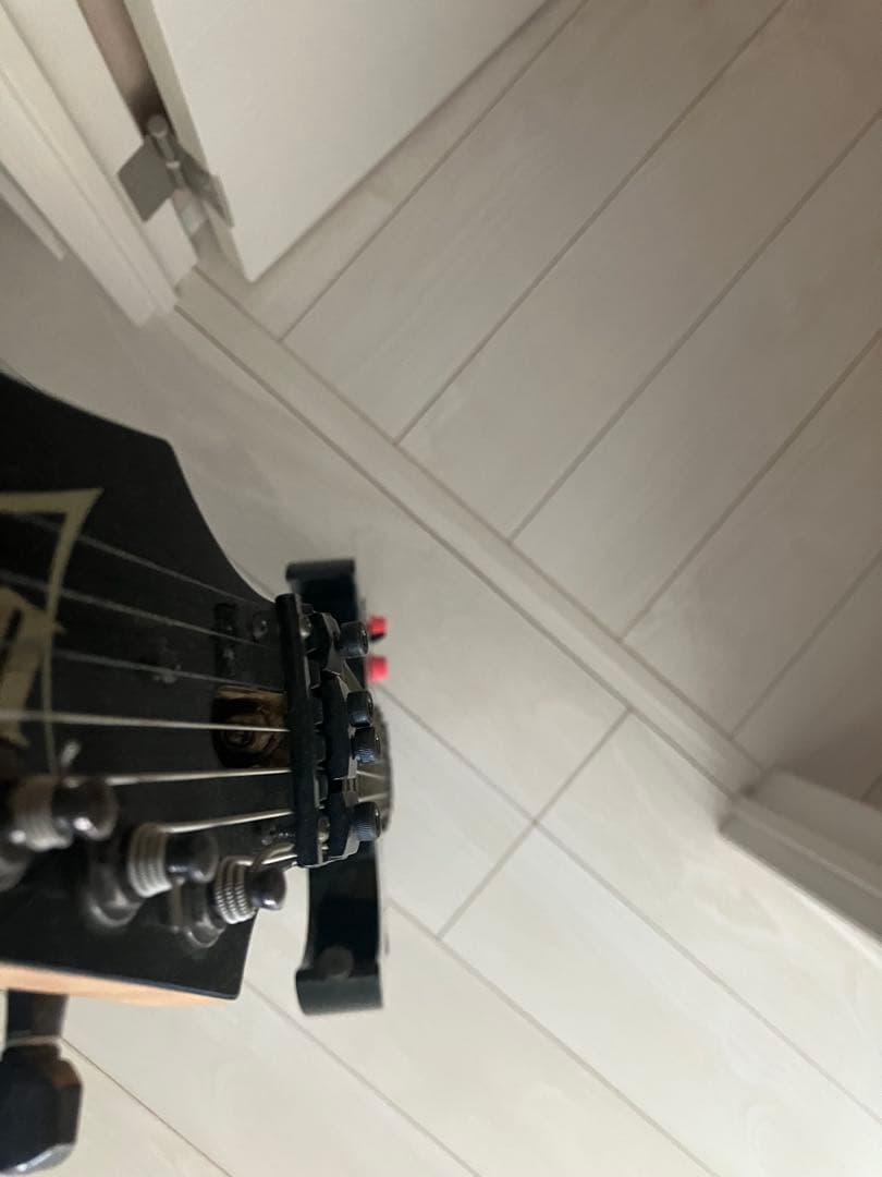 アイバニーズ　RG 7弦　フジゲン製