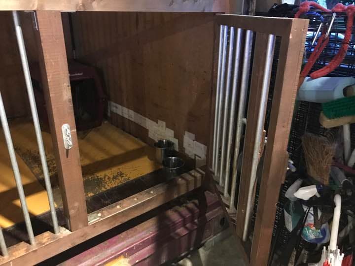 巨大 犬小屋