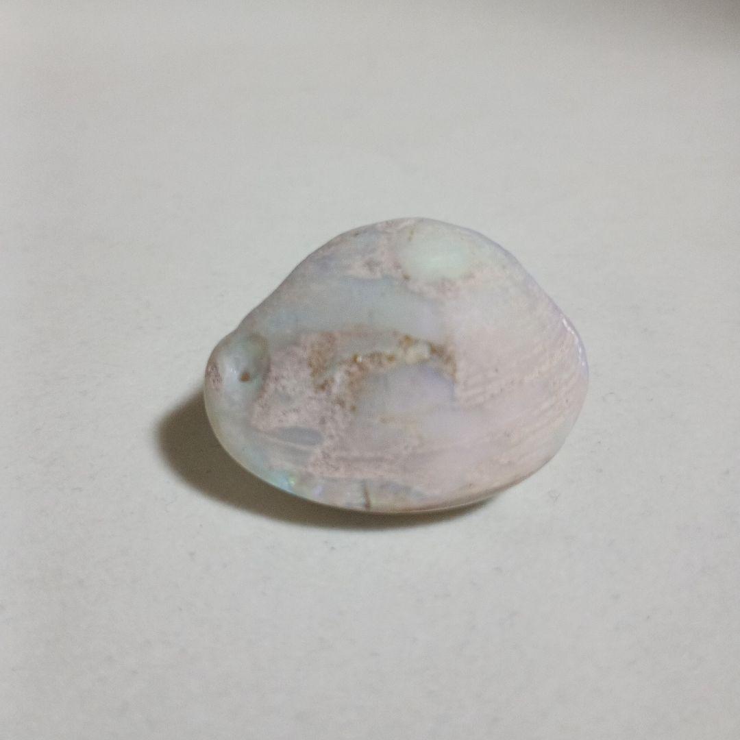 シェル オパール ルース 約3cm