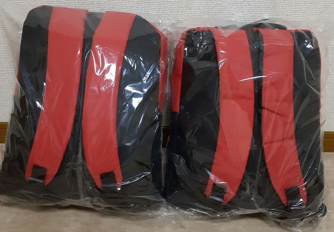 新品 ヤマゼンYAMAZEN防災バッグ　30点入×二人用本日値下げ