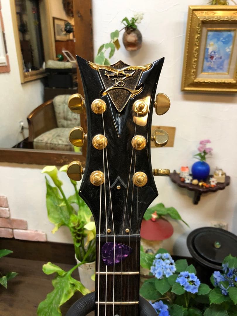 富士弦製DBZ GUITARS Infinity Mondial　T'sPU搭載