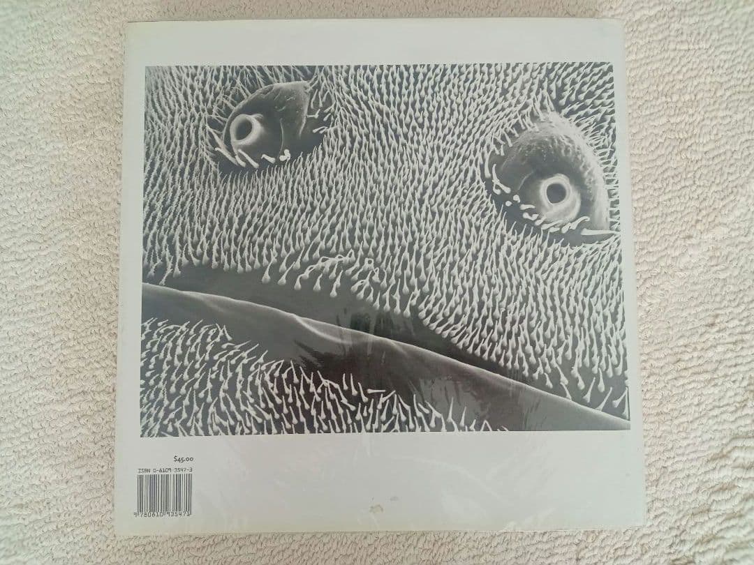 写真集 Hidden Beauty Microworlds Revealed