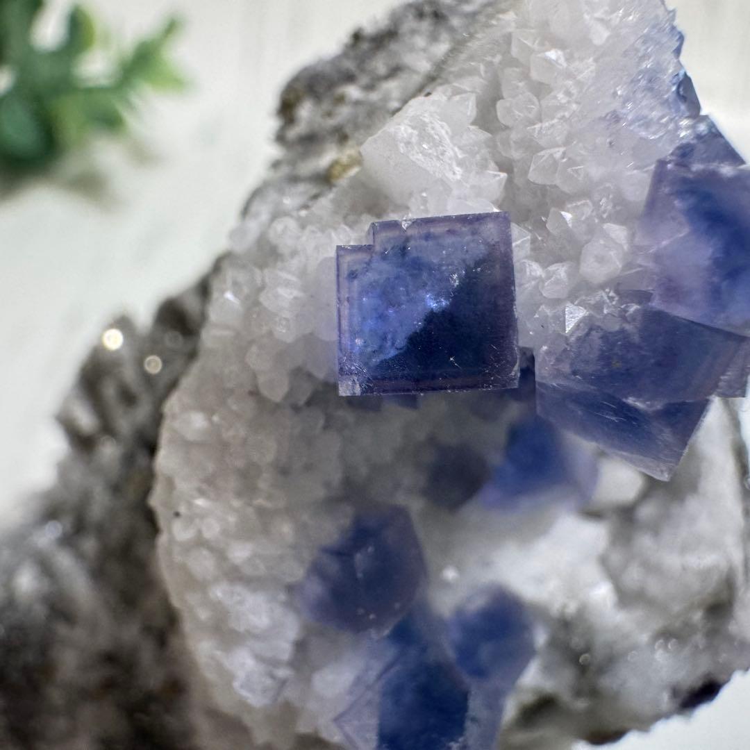 【D293】レア☆ブルー満天星 フローライト ヤオガンシャン 原石 鉱物 標本