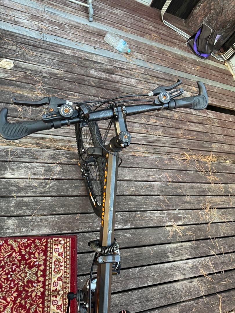 自転車本体 Bike