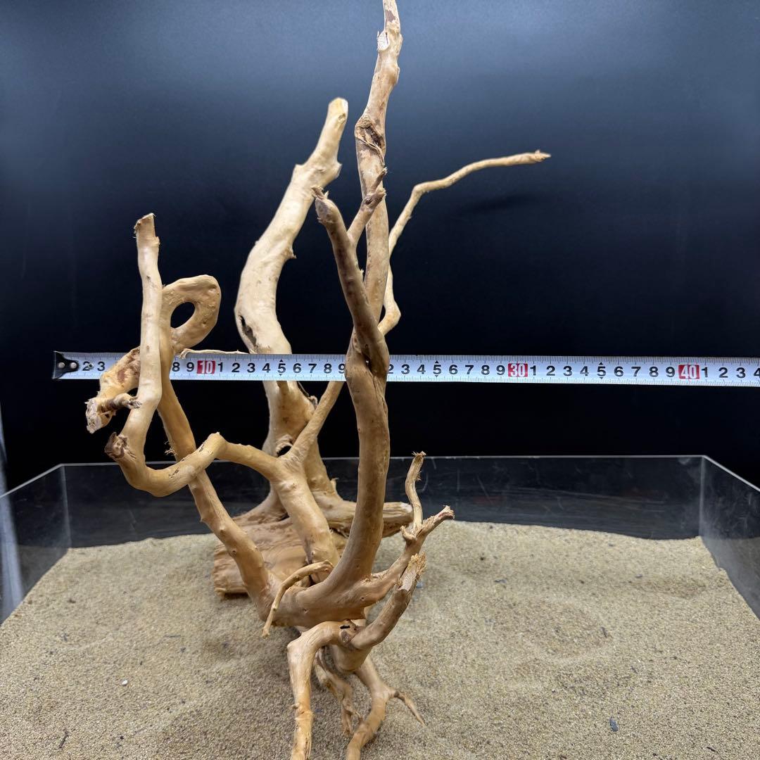 MDW-6991 特大ブランチウッド　流木　枝流木　アクアリウム