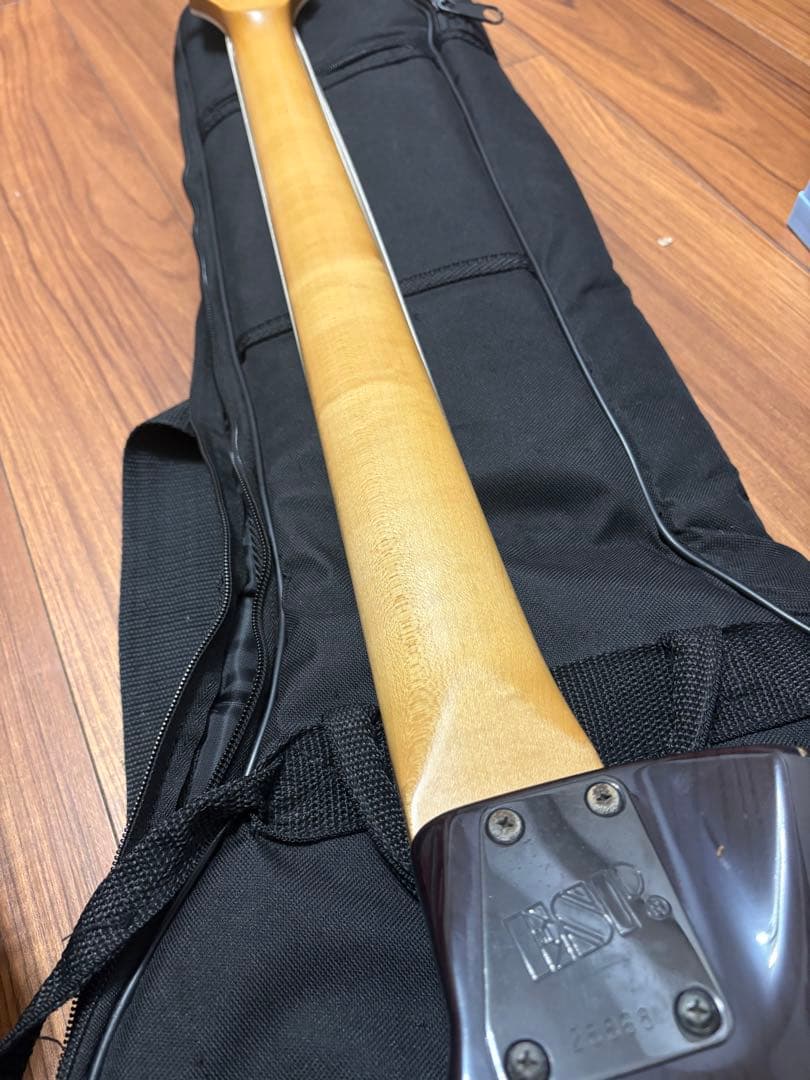 ぬ*こ様 【現状品】esp Egoist MA-250BE 【ジャンク】