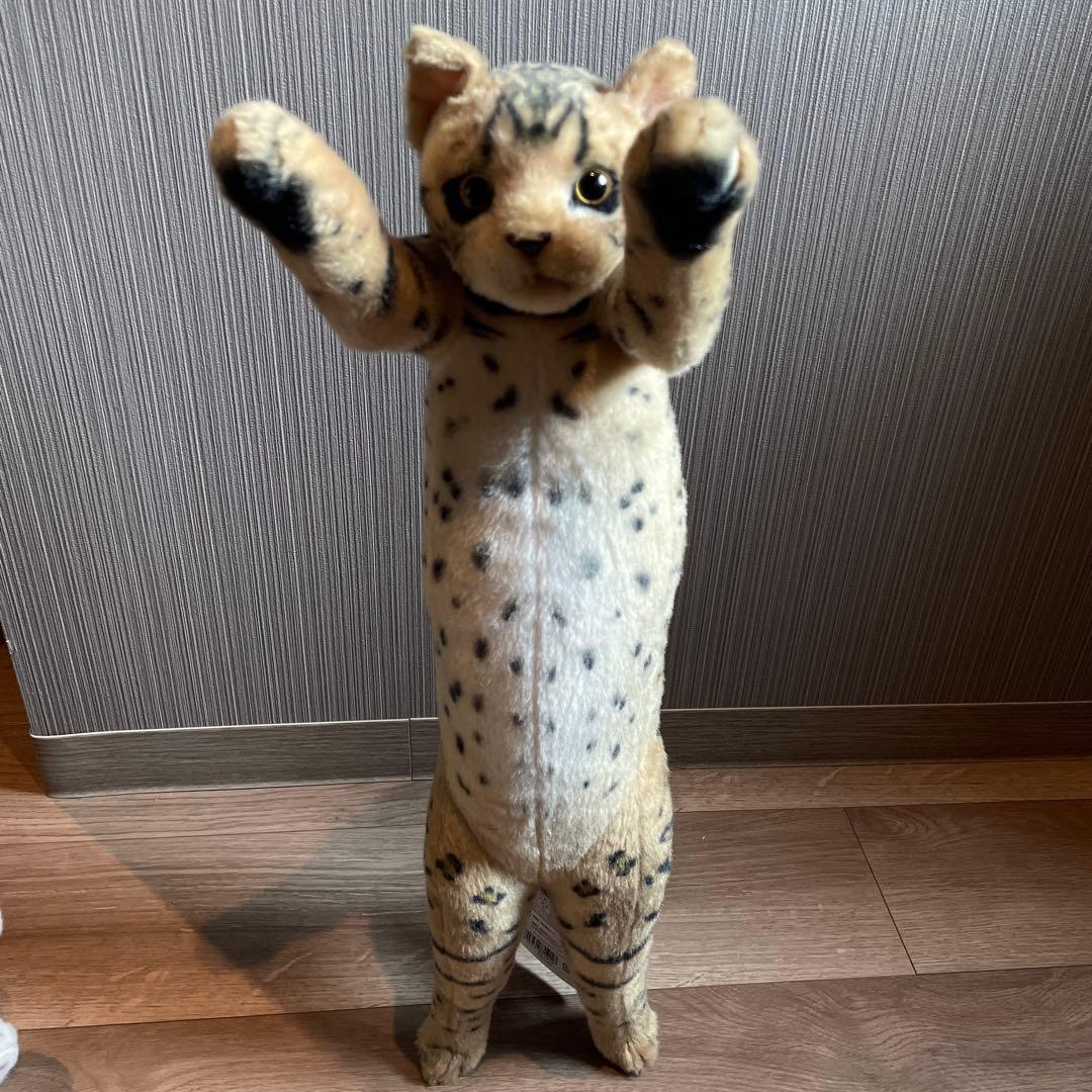 たっちい　Zoo にゃんこ ぬいぐるみ まとめ売り 自立する猫　ぬいぐるみ