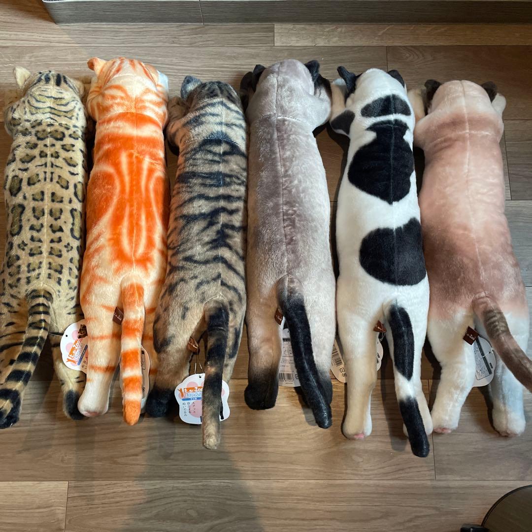 たっちい　Zoo にゃんこ ぬいぐるみ まとめ売り 自立する猫　ぬいぐるみ