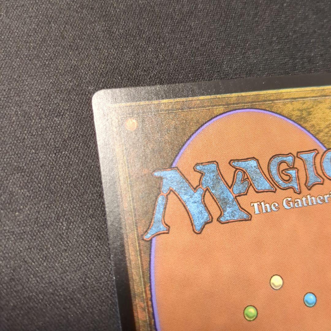 MTG 樹木茂る山麓 EXP 英語版 Foil
