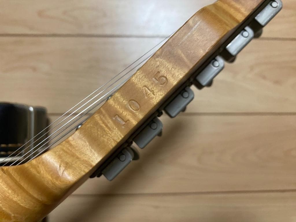 ギター James Tyler Classic USA
