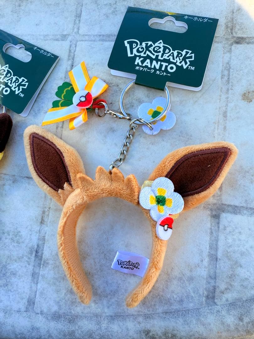 ポケパークカントー 数量限定 ポケモン ピカチュウ イーブイ キーホルダー