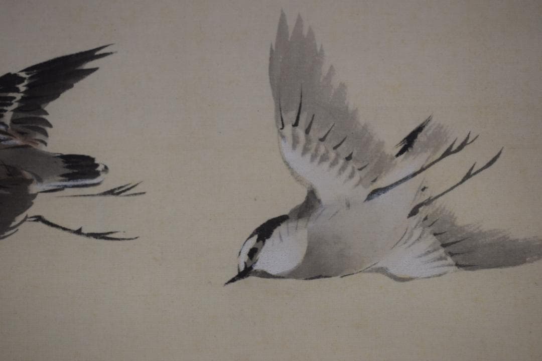 琴仙/月下千鳥図/群鳥図/掛軸☆宝船☆Z-383