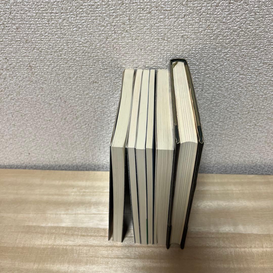 桜沢如一　 6冊セット　無双原理•易　他