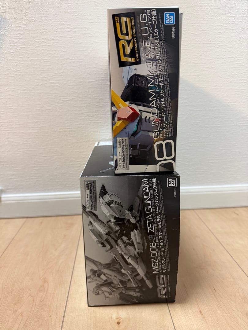 ＊RGガンプラ2体セット