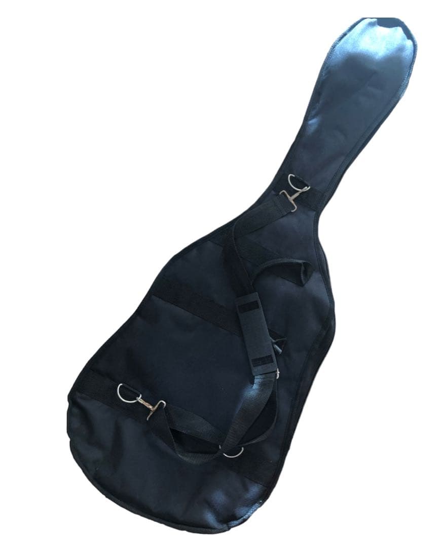 エレキギター&ソフトケース+α  Epiphone