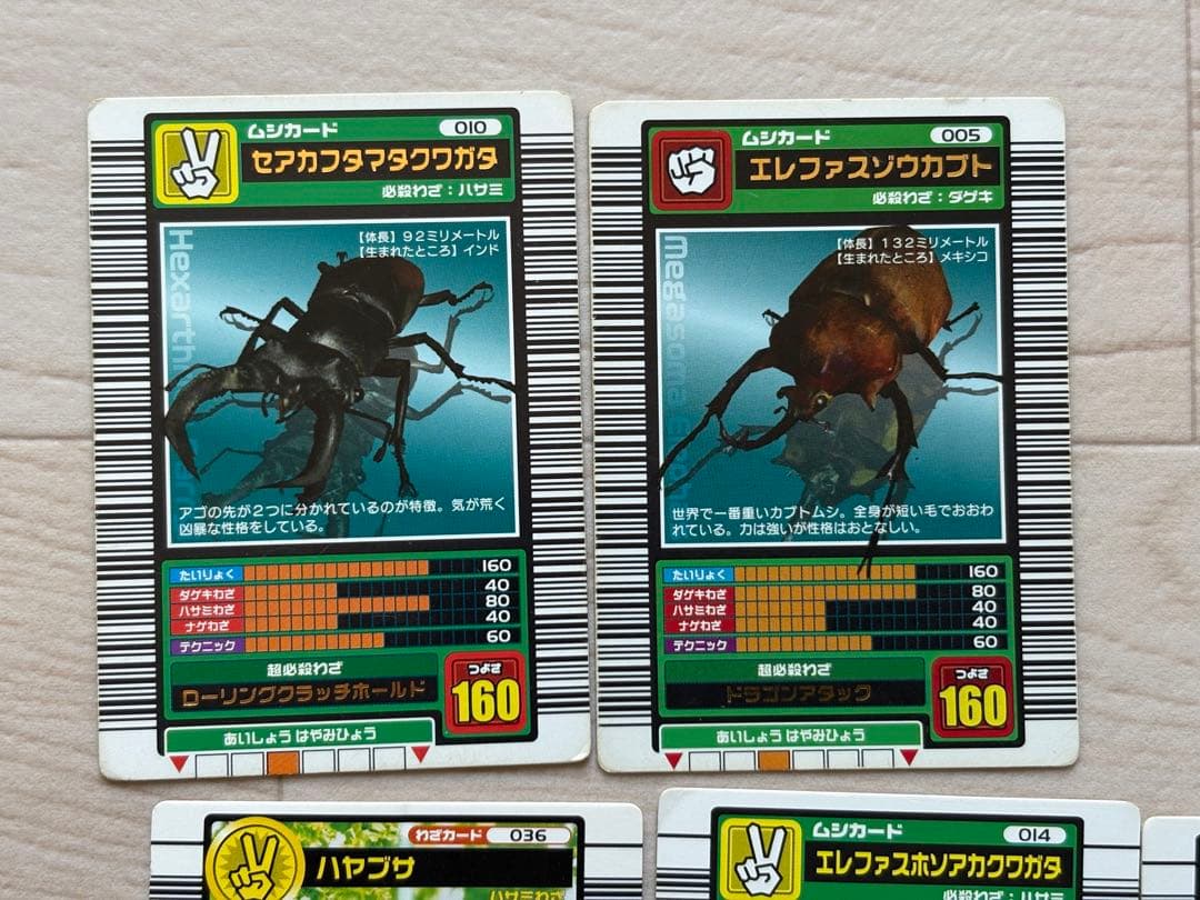甲虫王者　ムシキング　ムシカード セアカフタマタクワガタ エレファスゾウカブト