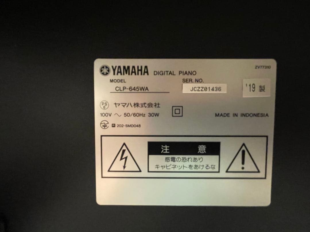 【イーサン】19年製【美品・高級モデル】CLP-645クラビノーバ