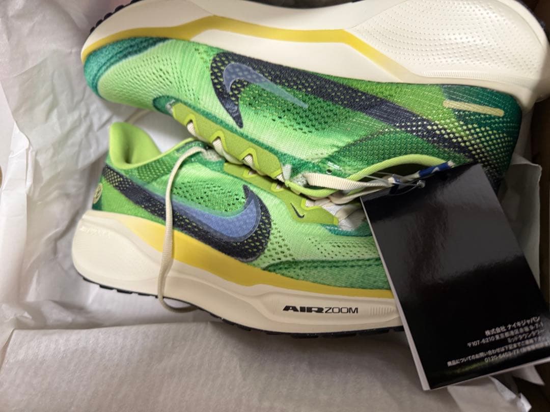 NIKEズームペガサス