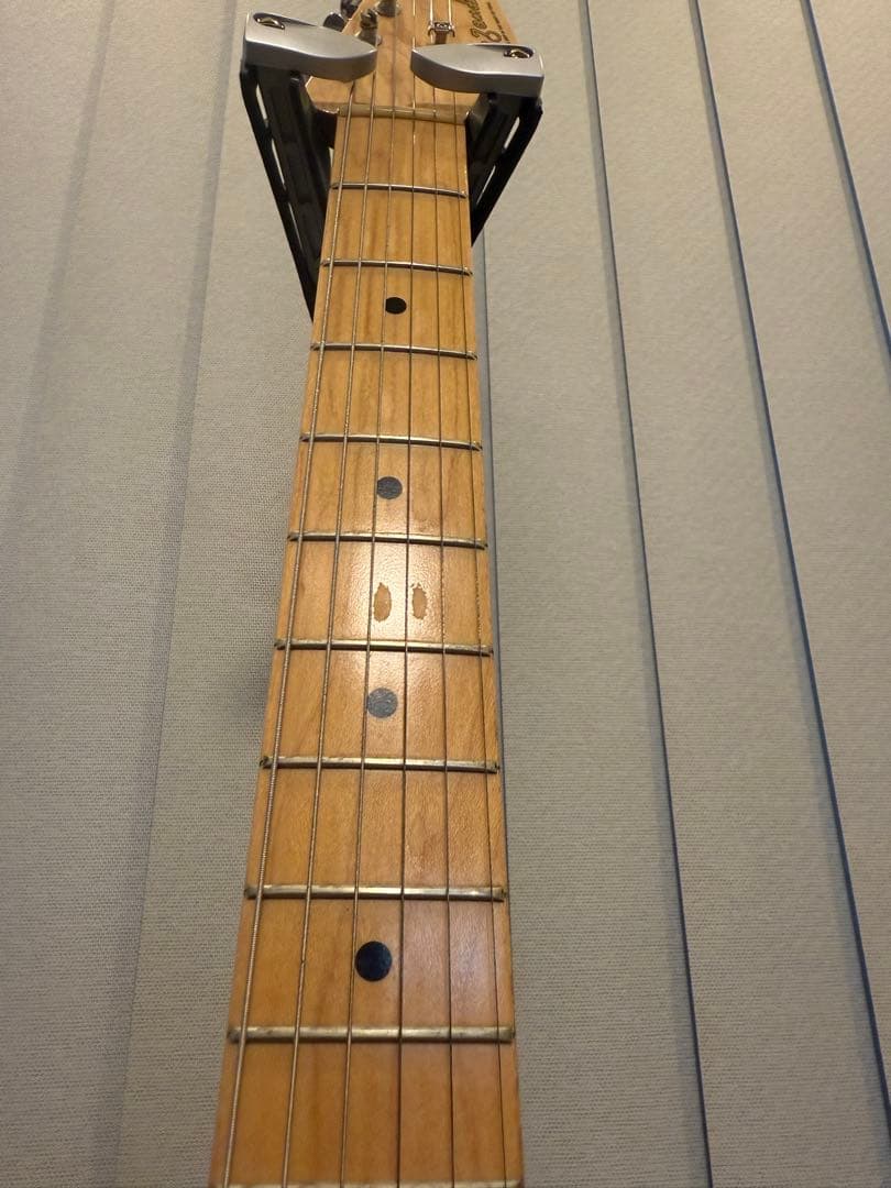 ギター Vanzandt STV-R1