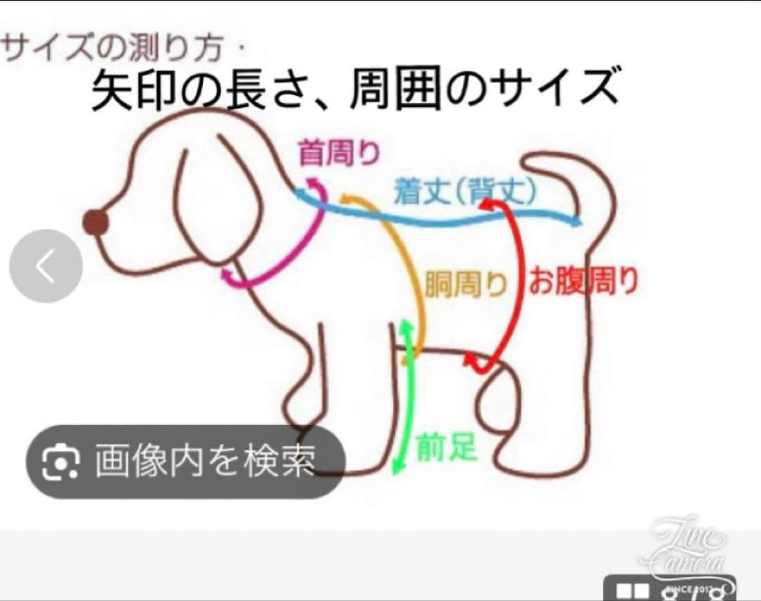 B456.pon2pan2☆犬オーダーお着物☆犬お着物☆犬お引き摺りお着物