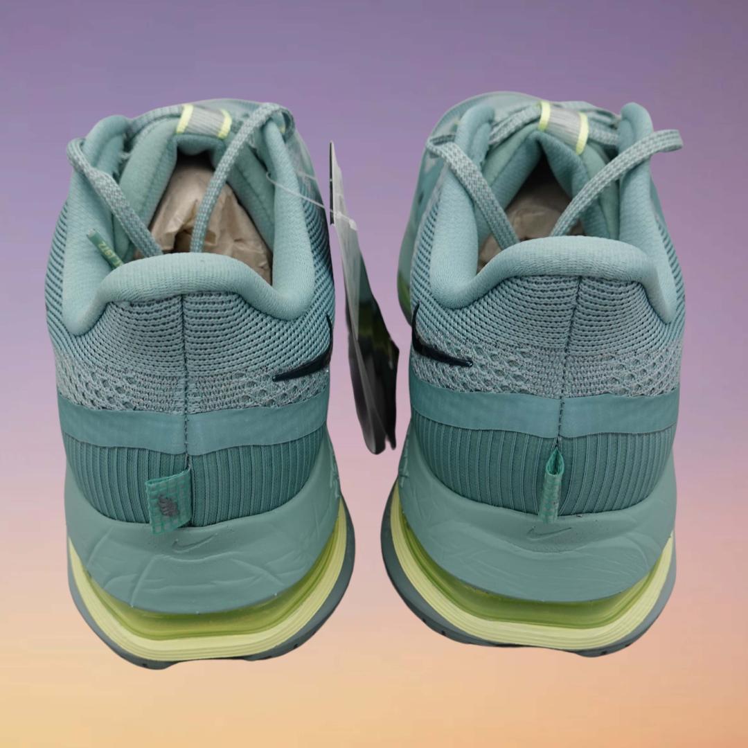 未使用・新品　NIKE ナイキ ペガサスプレミアム 29㎝ HQ2592-009