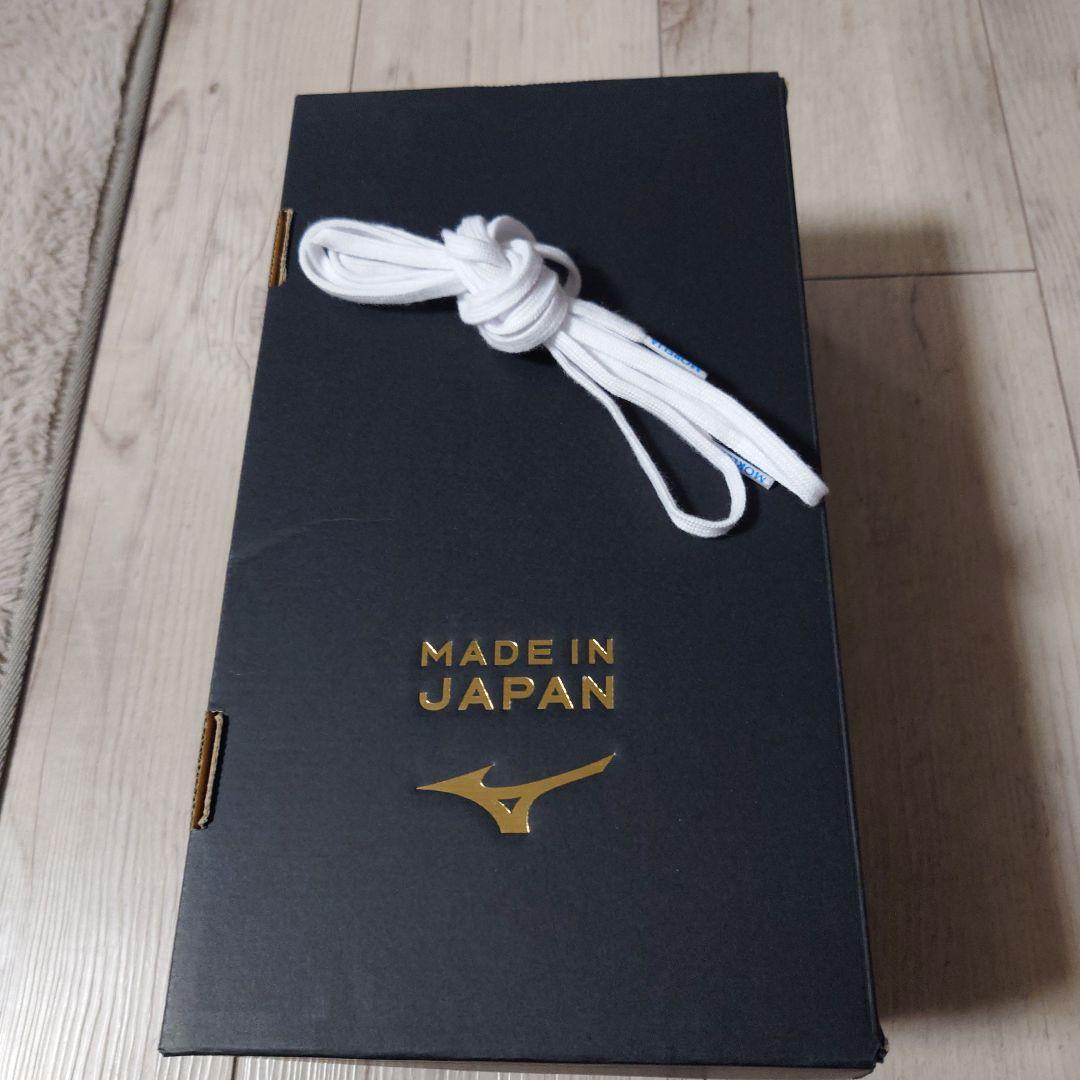 モレリアフットサルシューズ24.5cm