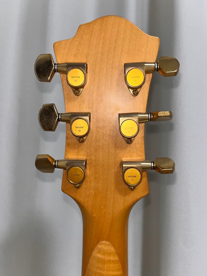 ギター TARGET BY FERNANDES MGT-50