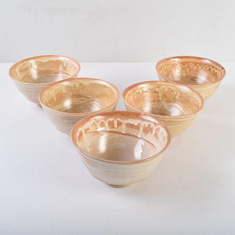 瀬戸焼　杉浦芳樹造　数茶碗　十客　堀内宗完（兼中斎）極め箱　M　R9292H