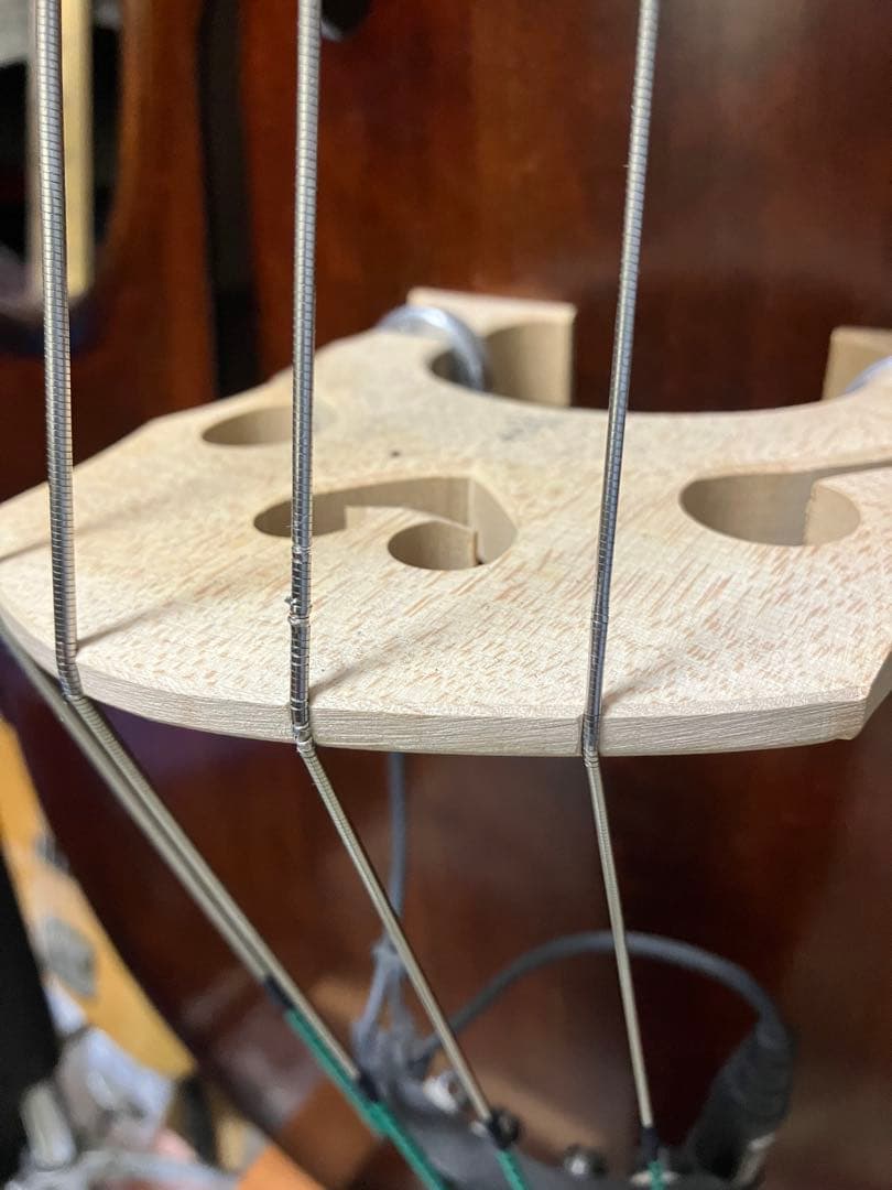 コントラバス弦・エバ・ピラッツィ(ライトゲージ)　4弦セット