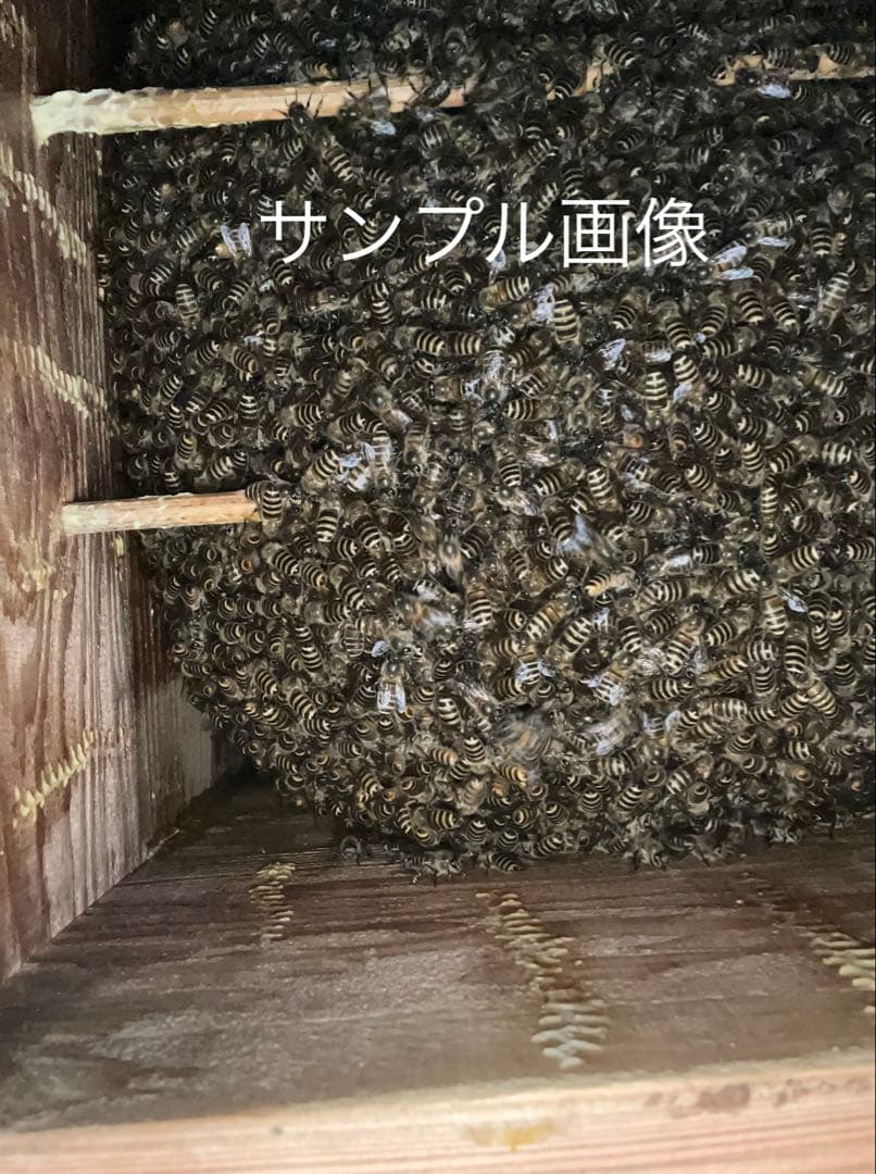 日本蜜蜂重箱式巣箱ハニーズハウス！五段スノコセット！網底板2枚！送料無料！