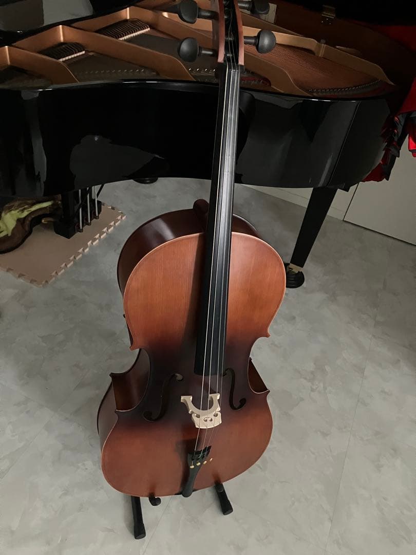 【美品】Hallstatt HC-450 チェロ ハルシュタット