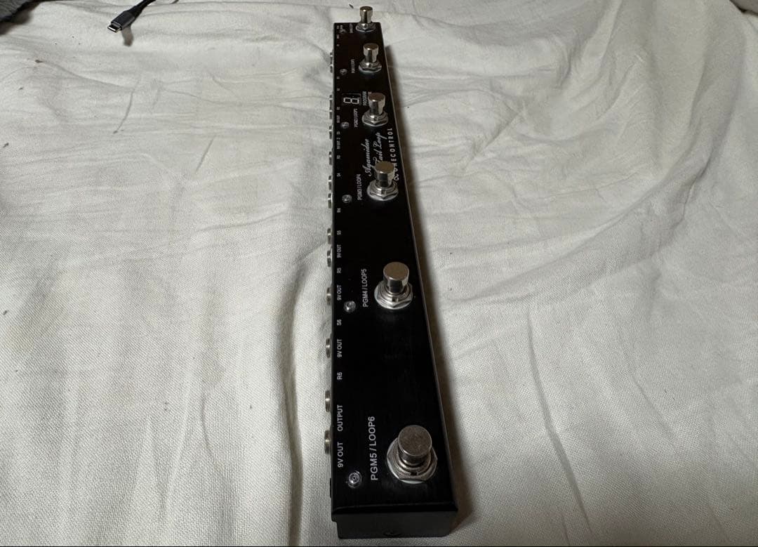 ギター one control Agamidae Tail Loop