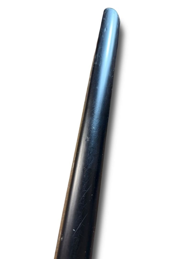 #クリスチャン・リース・ラッセン 「ドルフィン 」 ミクスドメディア版画 額装
