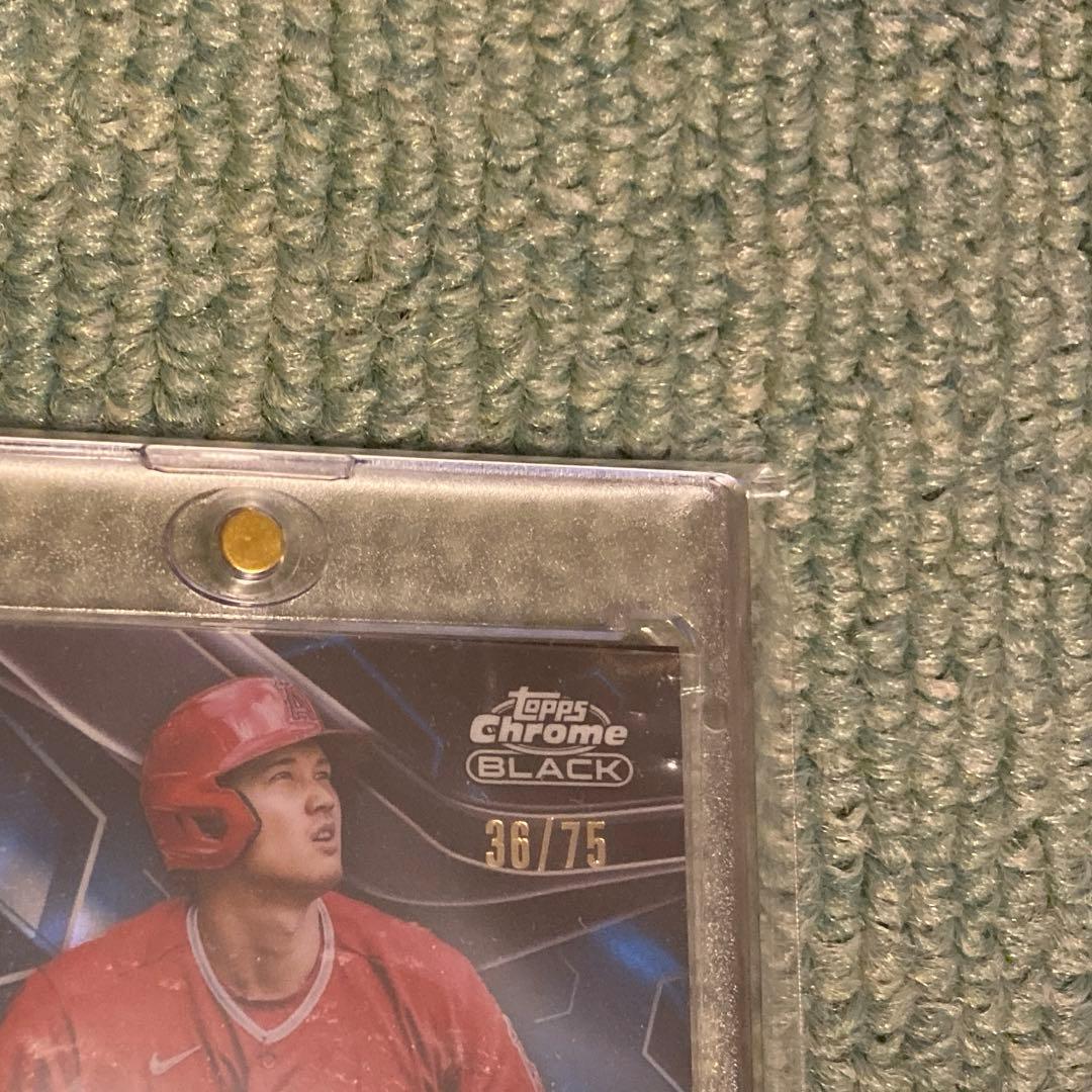 大谷翔平 ブルーリフレクター