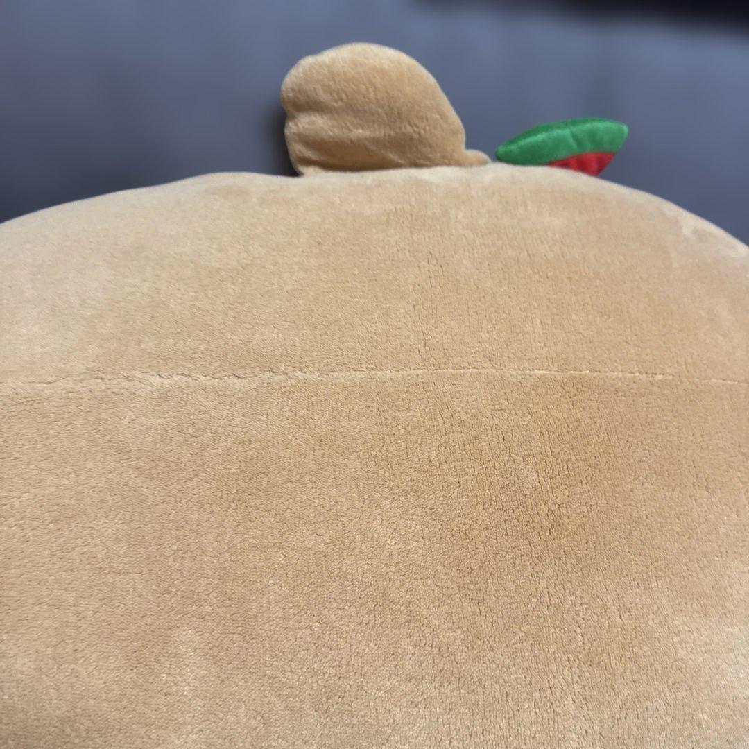 タグ付　小麦色にへんしん　しろたんだきぐるみ♡日焼けぬいぐるみ　すいか