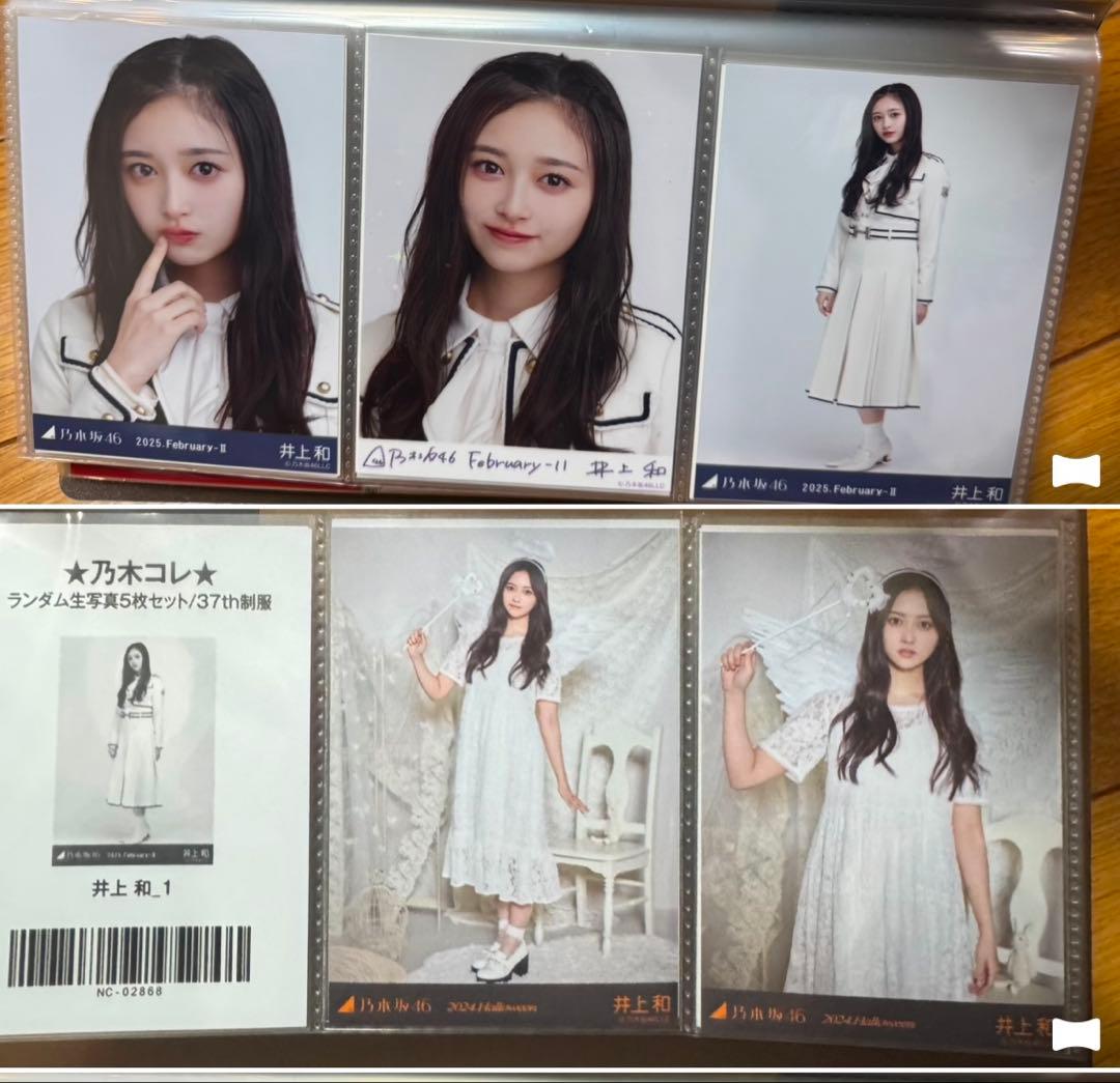 乃木坂46井上和　生写真　コンプ等　まとめ売り