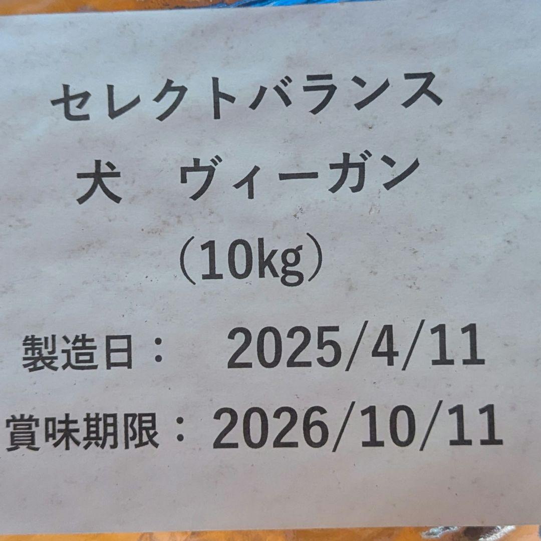 バンビ