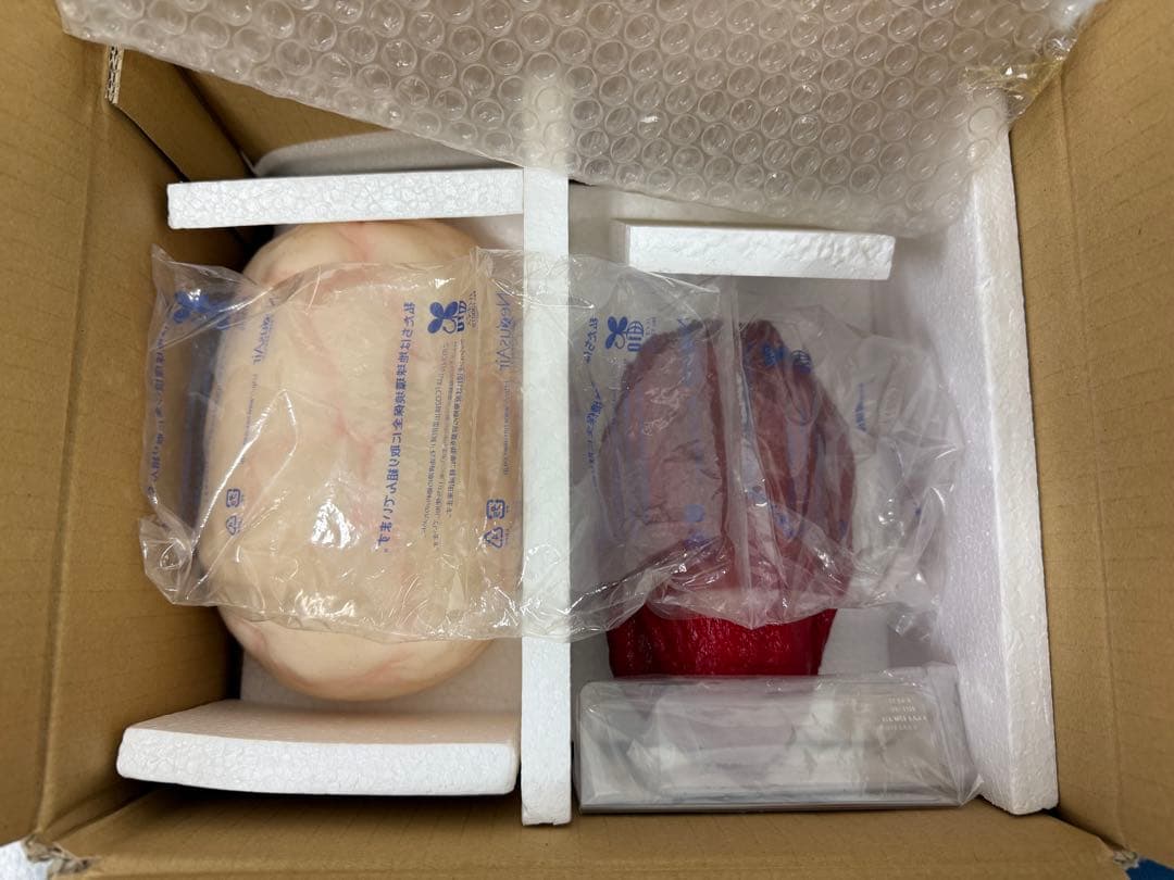 【2/9まで限定価格】未使用 川崎フードモデル 脂肪・筋肉模型 1kgセット