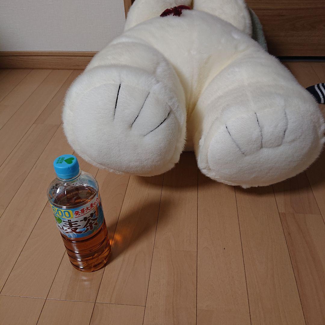 うめ吉 約70cm