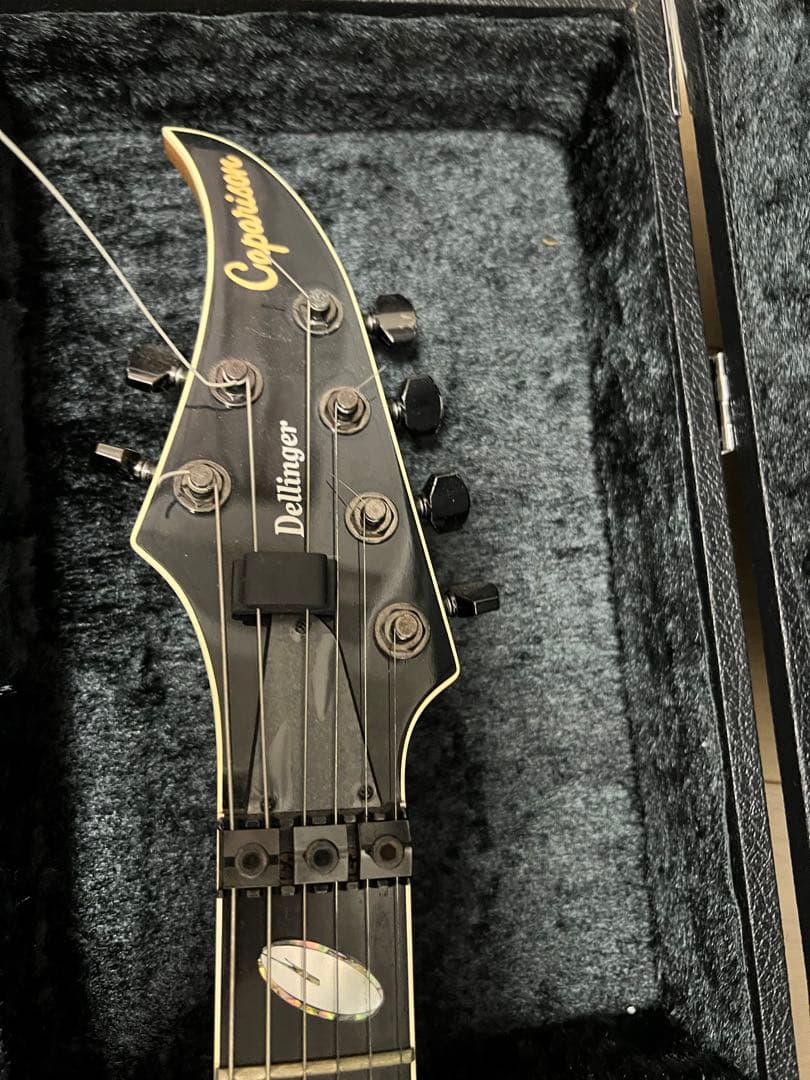 サ*メ様 Caparison Dellinger