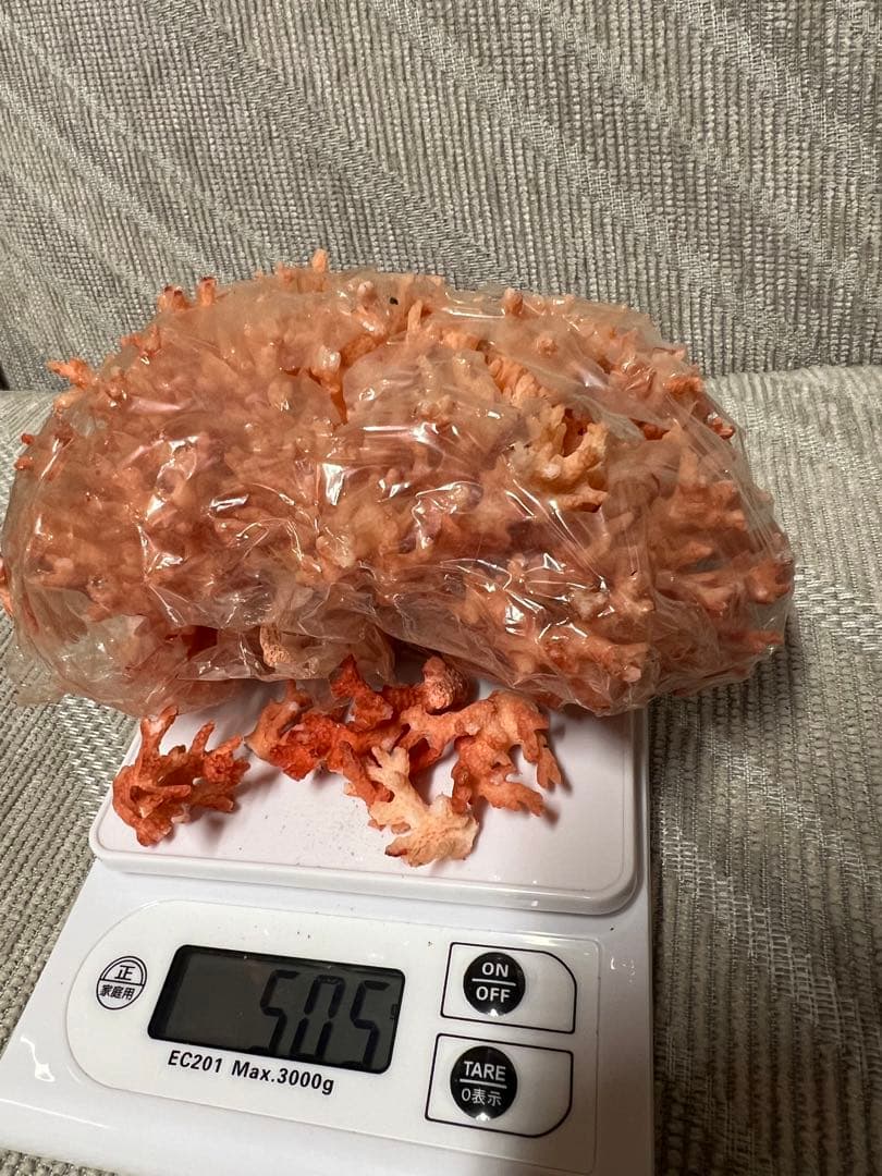 珊瑚