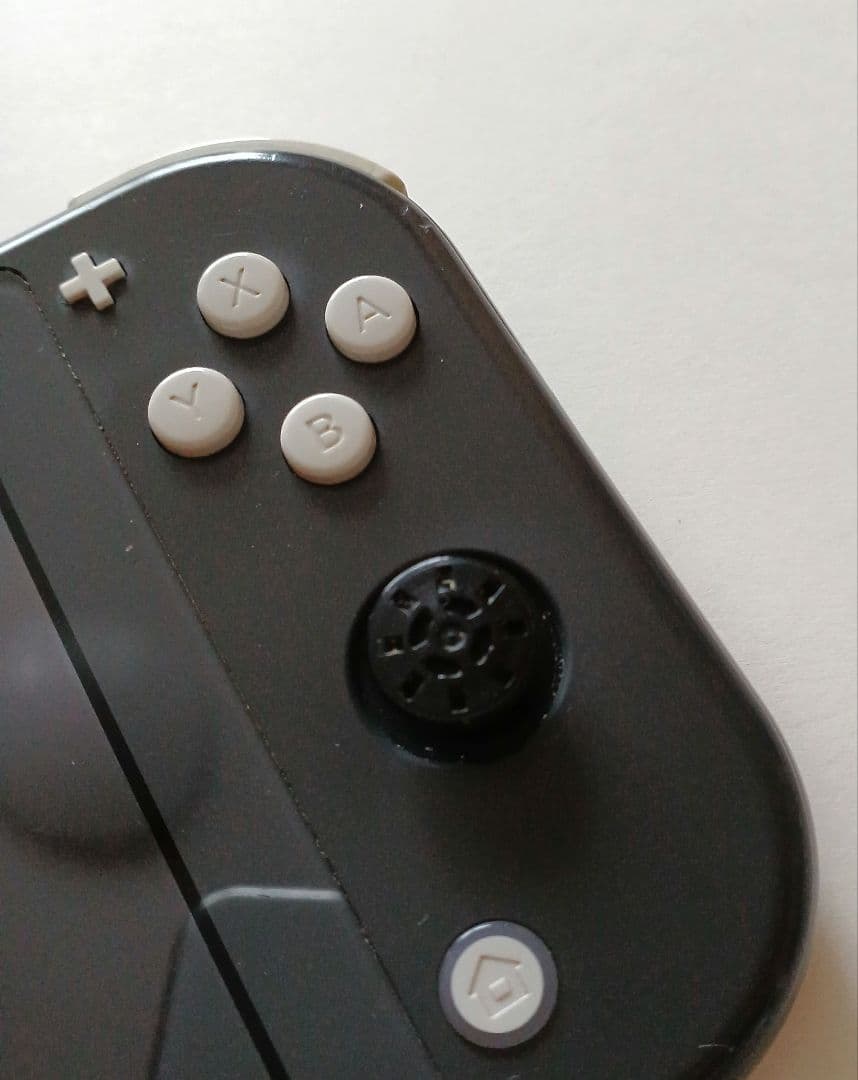 【ジャンク品】Nintendo Switch Lite　本体＋ケース