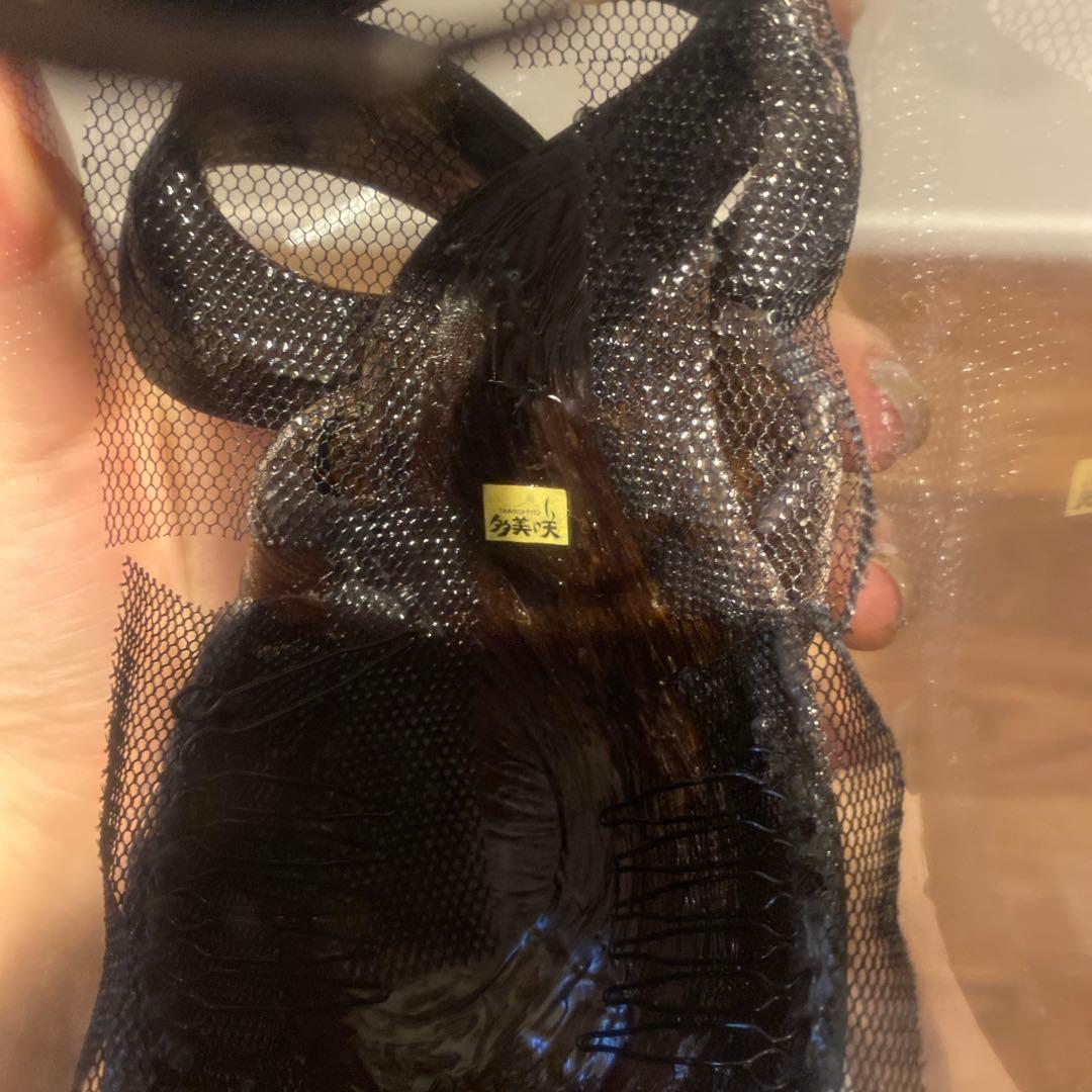 多美咲　新品未使用