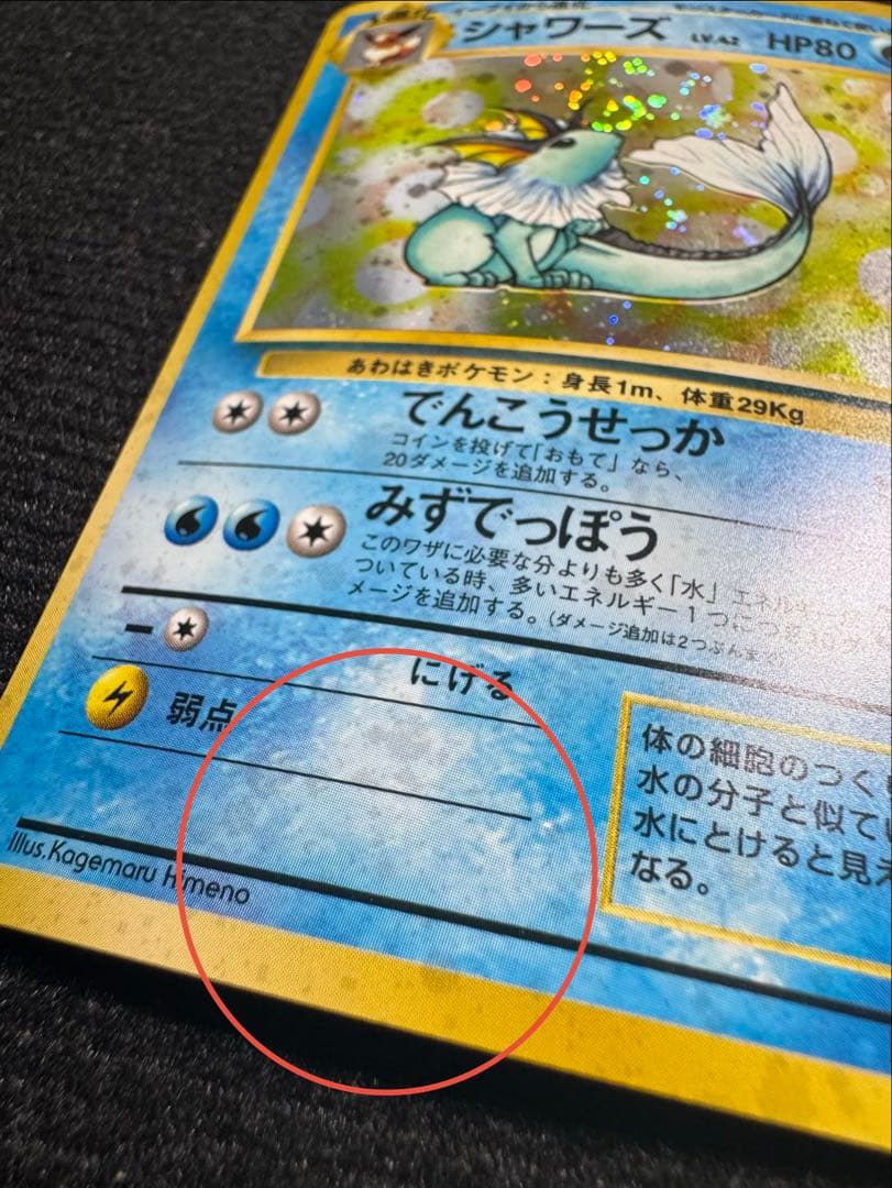 旧裏 シャワーズ サンダース ブースター