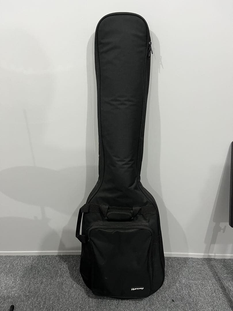 HISTORY HJB （ジャズベースタイプ）