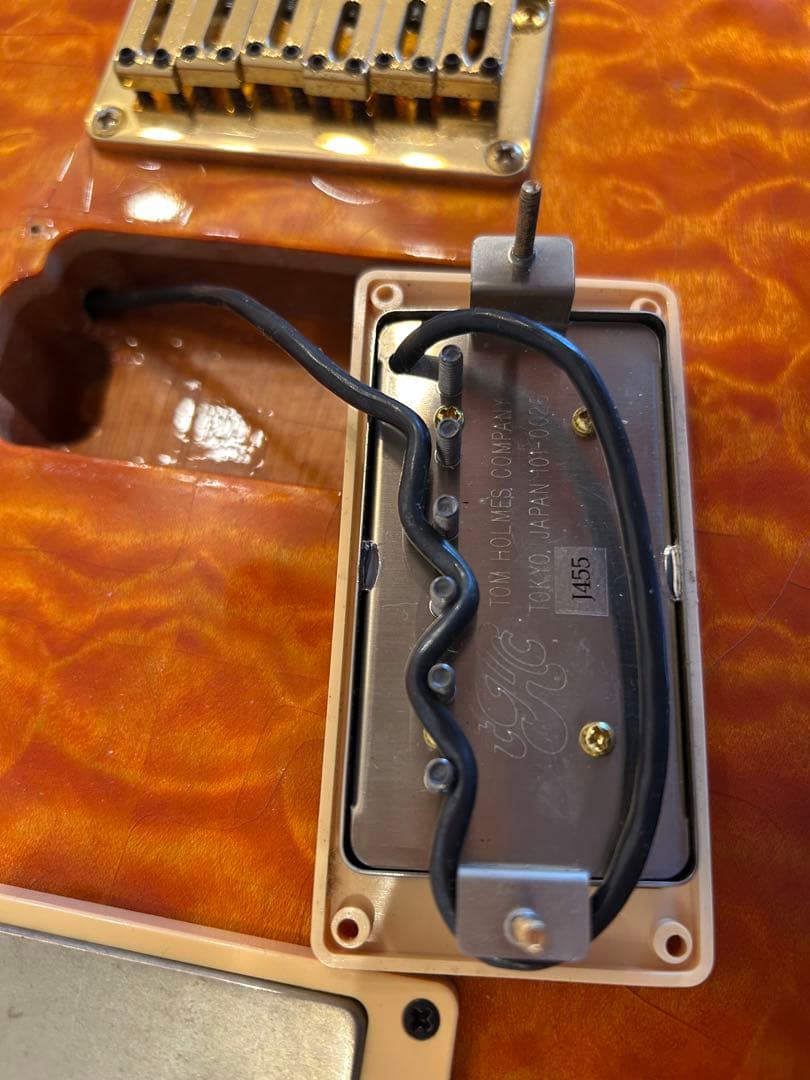 DON GROSH GUITAR ＃２１８